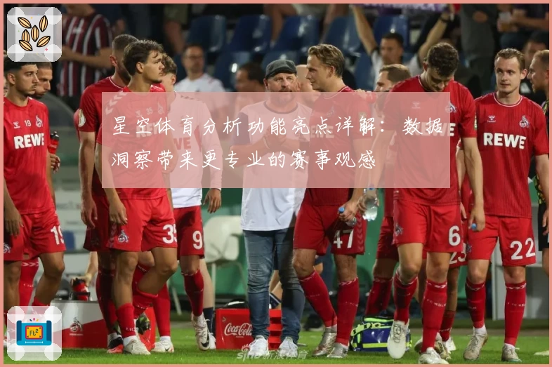 星空体育分析功能亮点详解：数据洞察带来更专业的赛事观感