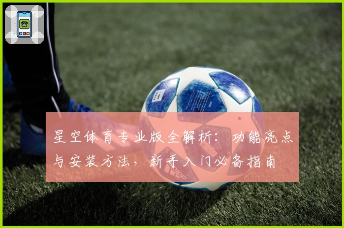 星空体育专业版全解析：功能亮点与安装方法，新手入门必备指南