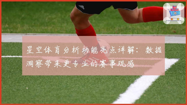 星空体育分析功能亮点详解：数据洞察带来更专业的赛事观感